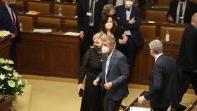 Volba šestého místopředsedy v Poslanecké sněmovně (25.1.2022)