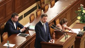 Žádost vlády o prodloužení nouzového stavu kvůli uprchlíkům z Ukrajiny: Vicepremiér Vít Rakušan (29.3.2022)