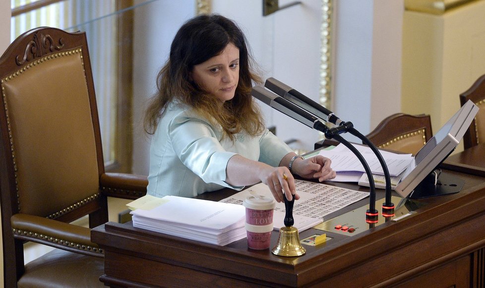Jednání sněmovny o svátečních nákupech: Místopředsedkyně sněmovna jermanová (ANO)