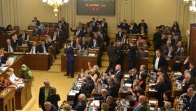 Poslanecká sněmovna bude řešit začátkem května dvojí kvalitu potravin a postoj Vlády ČR