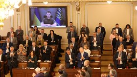 Čeští poslanci vestoje tleskali projevu Volodymyra Zelenského.