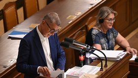 Sněmovna o úsporném balíčku: Andrej Babiš (ANO) (6. 9. 2023)