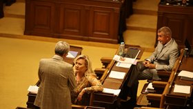 Jednání Sněmovny: Andrej Babiš a Alena Schillerová (ANO) (červenec 2023)