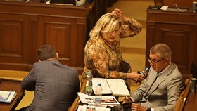Jednání Sněmovny: Alena Schillerová a Andrej Babiš (ANO) (červenec 2023)