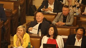 Jednání Sněmovny: Jana Mračková Vildumetzová a kolegové z ANO (červenec 2023)
