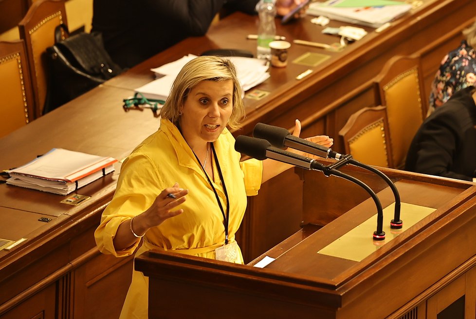 Jednání Sněmovny: Jana Mračková Vildumetzová (ANO) (červenec 2023)