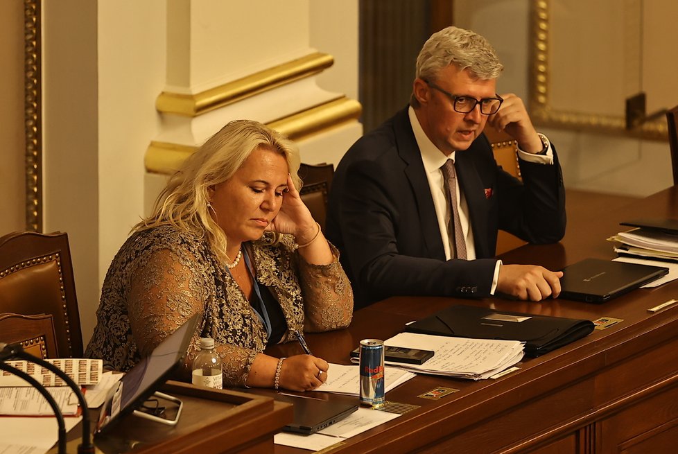 Jednání Sněmovny: Klára Dostálová a Karel Havlíček (ANO) (červenec 2023)
