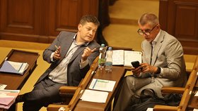 Jednání Sněmovny: Patrik Nacher a Andrej Babiš (ANO) (červenec 2023)