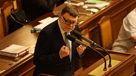 Jednání Sněmovny: Zbyněk Stanjura (ODS) (červenec 2023)