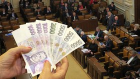 Sněmovna chce na svém provozu ušetřit až 3 miliony korun.