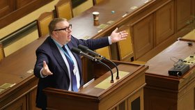 Jednání Sněmovny o bezpečnostních hrozbách: Poslanec Aleš Juchelka ANO) (20.3.2024)