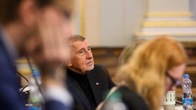 Jednání rozpočtového výboru: Andrej Babiš (19.11.2025)