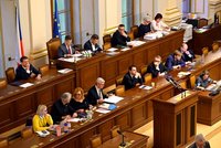 Hádky o rozpočet: „Nesmyslné útoky, bludy a hazard s budoucností,“ čertil se Fiala ve Sněmovně