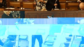 Jednání Poslanecké sněmovny (17. 1. 2023)