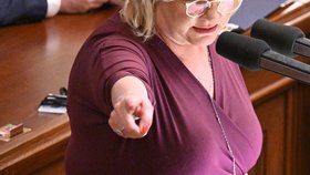 Řádná schůze Sněmovny (21. 2. 2023). Na snímku Alena Schillerová (ANO).
