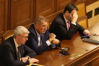 Poslanci přehlasovali dvě senátní veta: Prošel i „lex pomsta“ proti Pavlovi