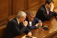 Makak na seznam? Poslanci se hádali o zvířatech, která přidají k trestnému činu týrání