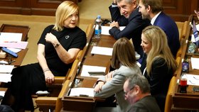 Jednání Poslanecké sněmovny: Andrej Babiš a poslanci ANO (14.11.2025)