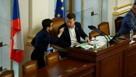 Jednání Poslanecké sněmovny: Olga Richterová a Tomio Okamura (14.11.2025)