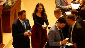 Jednání Poslanecké sněmovny: KLub Motoristů (14.11.2025)