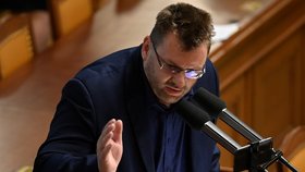 Mimořádná schůze Poslanecké sněmovny k novelám, které mají uzákonit sňatky homosexuálů, nebo naopak povýšit manželství muže a ženy, se konala 29. dubna 2021 v Praze.