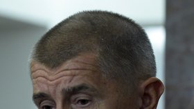 Andrej Babiš ve Sněmovně, ta jednala o střetu zájmů