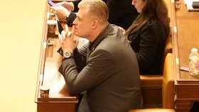 Mimořádná schůze Sněmovny