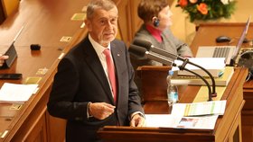 Mimořádná schůze Sněmovny