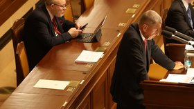 Mimořádná schůze Sněmovny