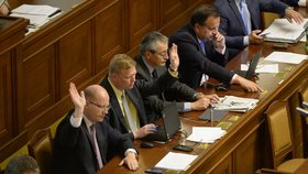 Sněmovna schválila zpřísnění zákona o střetu zájmů i s některými omezeními pro podnikání členů vlády, které zjevně míří na ministra financí a předsedu hnutí ANO Andreje Babiše. Pro byla i ČSSD.