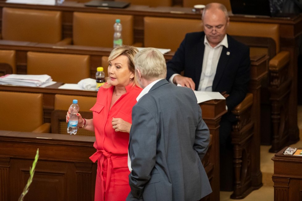 Jednání Sněmovny o konsolidačním balíčku: Alena Schillerová (ANO) (7.9.2023)