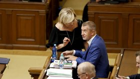 Jednání o nedůvěře vládě: Andrej Babiš a Alena Schilerová.