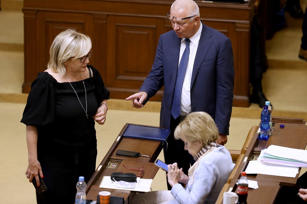 Jednání o nedůvěře vládě: Alena Schillerová a Jaroslav Faltýnek.