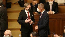 Premiér Petr Fiala a Andrej Babiš na jednání o důvěře vládě. (13.1.2022)