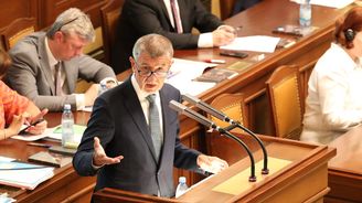 Andrej Babiš: Návrh na svržení vlády je pokus o destabilizaci Česka 