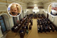 Zaříznutý Havlíček: Pekarová kritizuje ANO, Schillerové vadí „nová politická kultura“