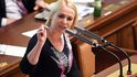 Jana Černochová při projednávání zákona o držení zbraní
