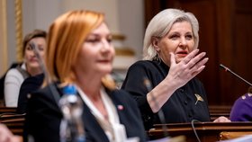 Sněmovní rozpočtový výbor pokračoval v projednávání návrhu státního rozpočtu na příští rok, 24. listopadu 2025