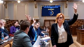 Sněmovní rozpočtový výbor pokračoval v projednávání návrhu státního rozpočtu na příští rok, 24. listopadu 2025