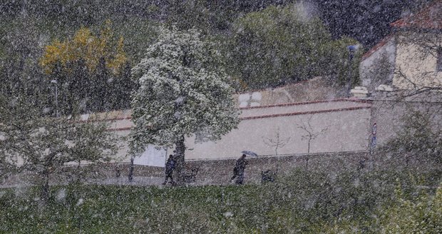 V pondělní sněžilo i na pražském Petříně.