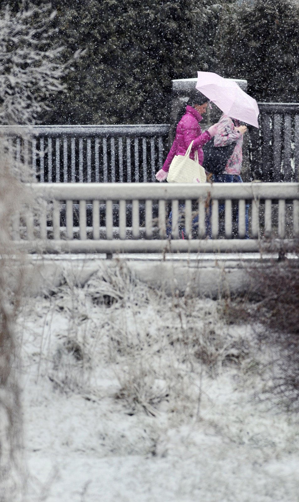Obyvatele Liberce sužovalo 16. prosince husté sněžení a silný nárazový vítr.