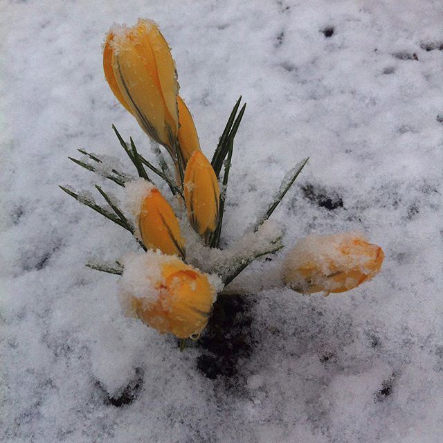 Letošní vrtkavá zima očima Čechů na Instagramu