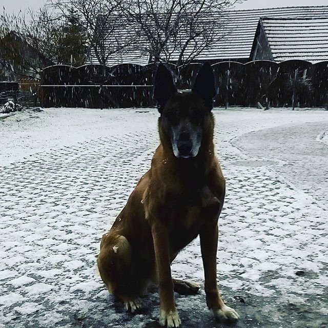 Padá sníh! Takto jej zachytili Češi na Instagramu