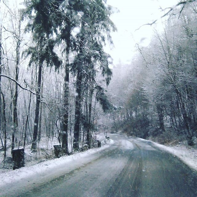 Sníh na Vánoce nenapadne, o svátcích bude teplo. Ochladí se až na Silvestra (ilustrační foto)