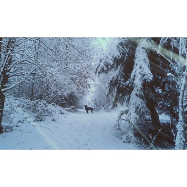 Padá sníh! Takto jej zachytili Češi na Instagramu