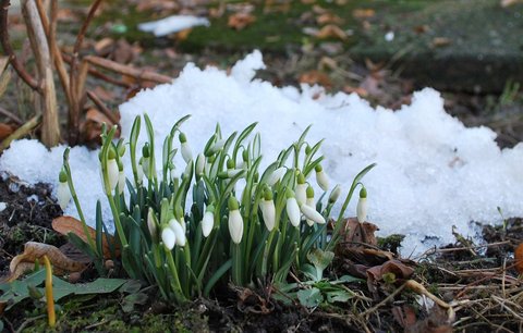 Velikonoce pod bodem mrazu: Padaly teplotní rekordy, bylo až -22°C!