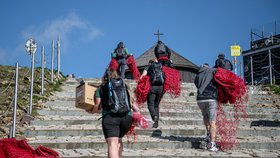 Správci KRNAP rozmístili na Sněžce sítě. (27.5.2026)