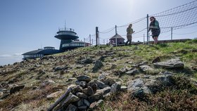 Správci KRNAP rozmístili na Sněžce sítě. (27.5.2026)
