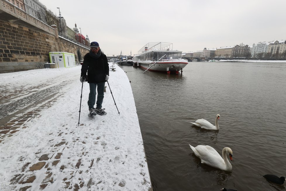 Sněhu bylo na náplavce dostatek, sněžnice si to tady užívaly!