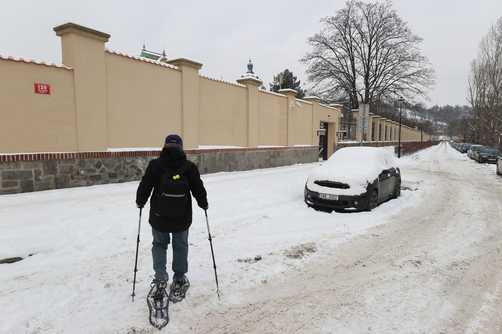 Sněhu bylo dostatek, sněžnice si to tady užívaly!